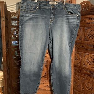 Torrid jeans